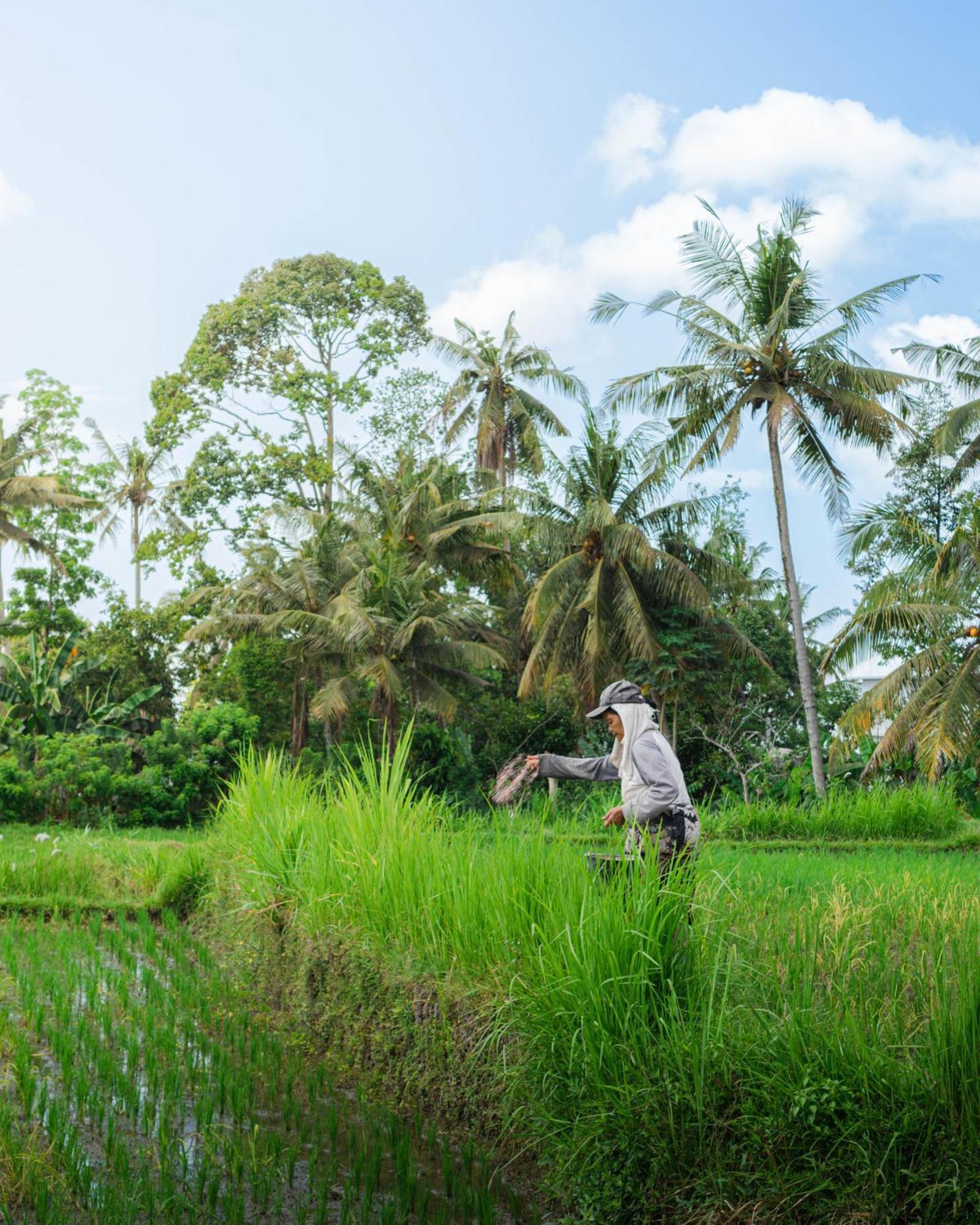Tannari Villa Ubud Exterior photo